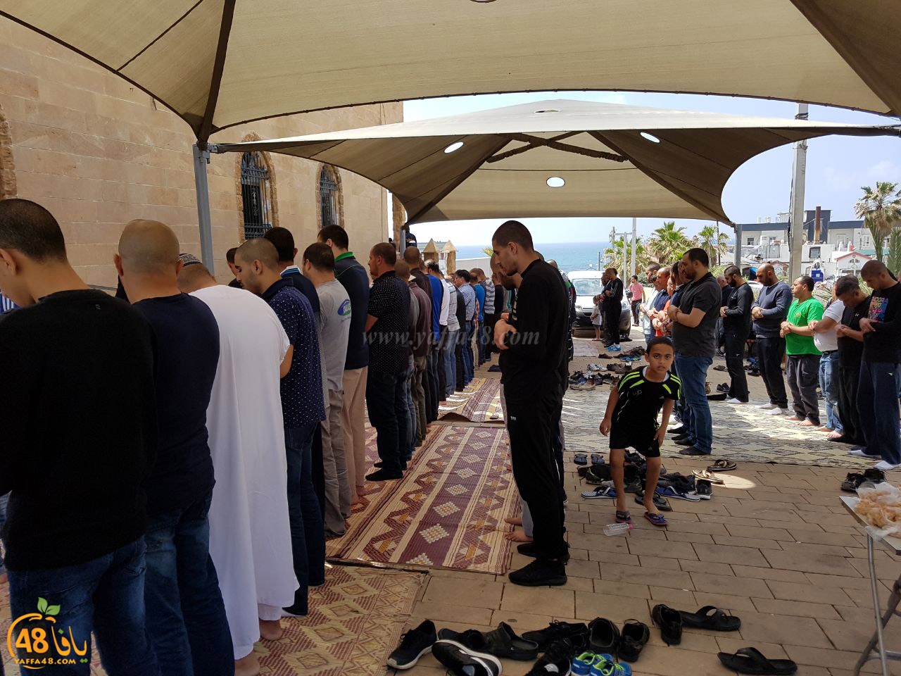 jabaliya ga2eb (6).jpg